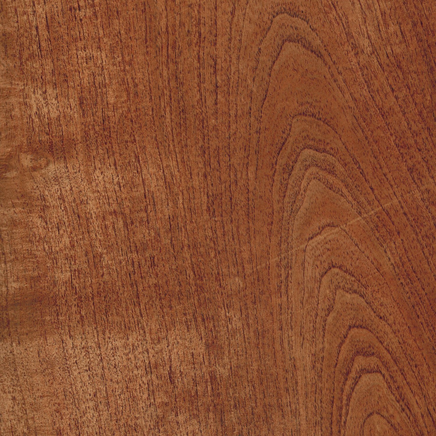 Mesquite Veneer Catalog Houston Architectural Panel, LLC