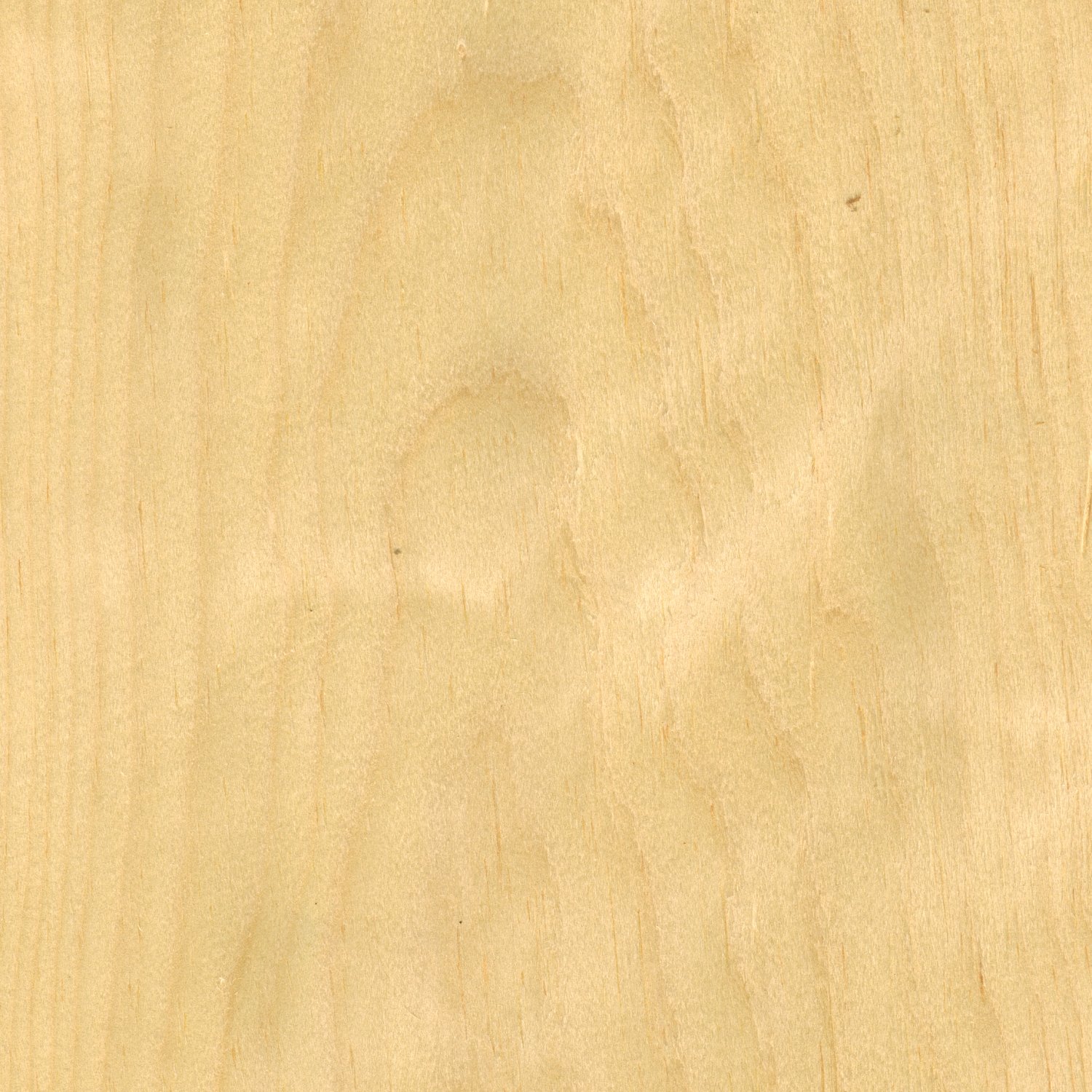 Northern White Pine | Veneer Catalog | Houston Architectural Panel, LLC